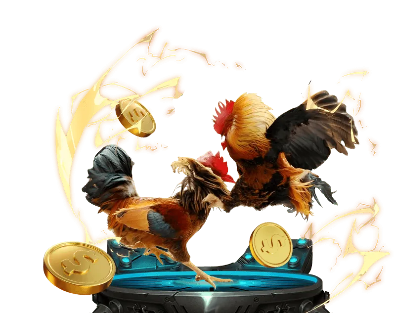 Tổng quan các dịch vụ cá cược tại alo 789 đá gà